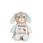 Preview: Plüschtier Hase bestickt mit Namen